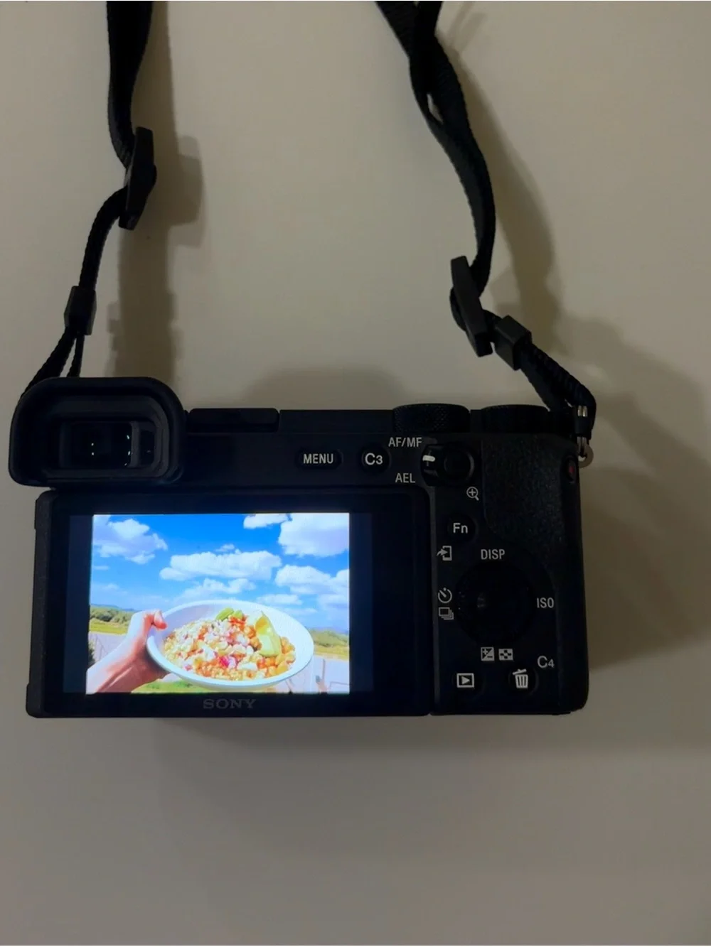 Sony Camera A6600 vlogging